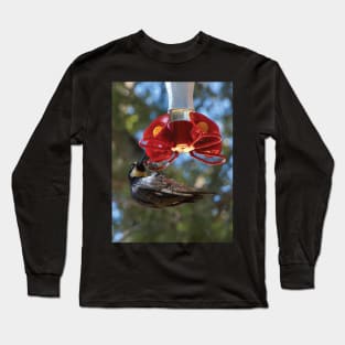 Acorn Woodpecker Raiding A Hummingbird Feeder Long Sleeve T-Shirt